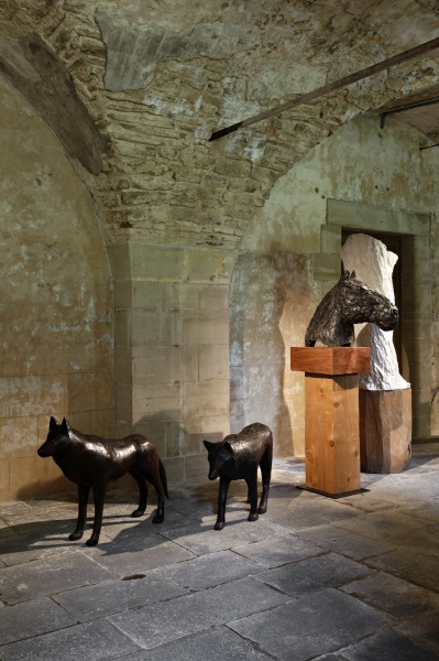 files/les heros vue loups.jpg